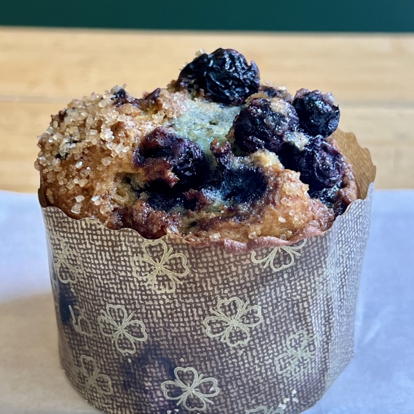 Gluten Free Blueberry Corn Muffin